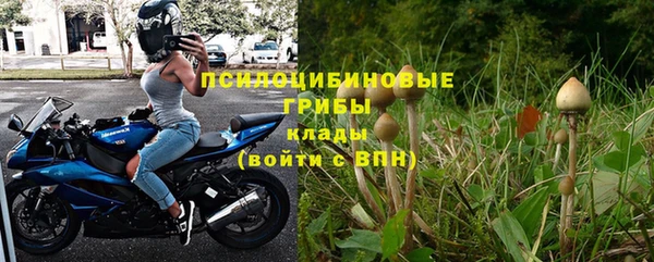не бодяженный Дмитров