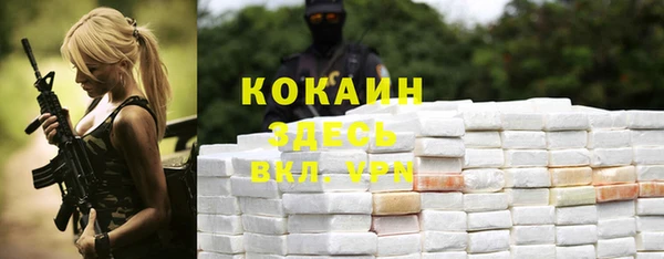 мескалин Дмитриев