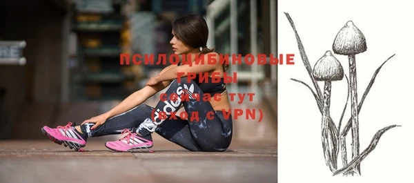 мескалин Дмитриев