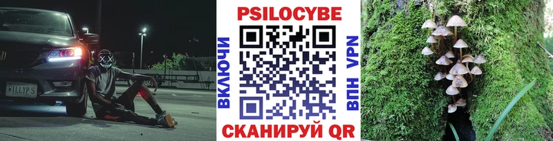 Псилоцибиновые грибы Magic Shrooms  наркотики  Ессентукская 